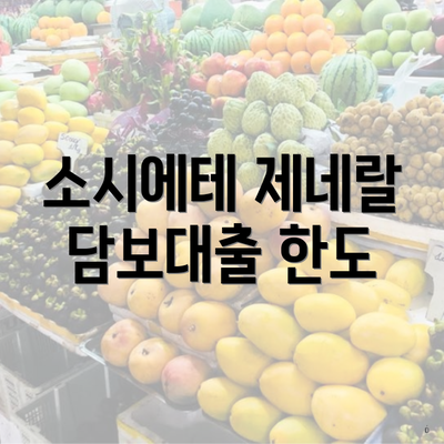 소시에테 제네랄 담보대출 한도