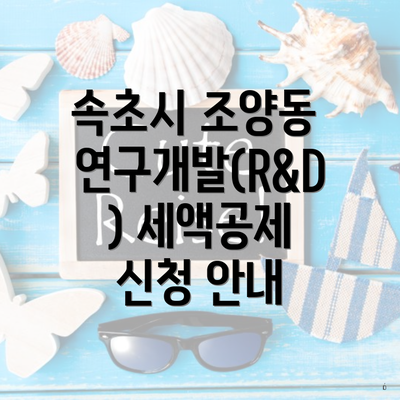 속초시 조양동 연구개발(R&D) 세액공제 신청 안내