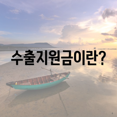 수출지원금이란?