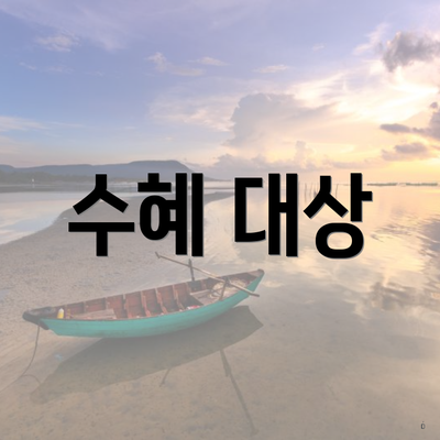 수혜 대상