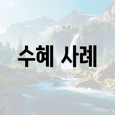 수혜 사례