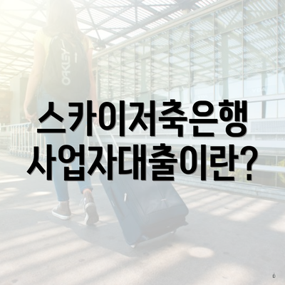 스카이저축은행 사업자대출이란?