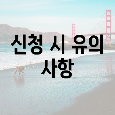 신청 시 유의 사항