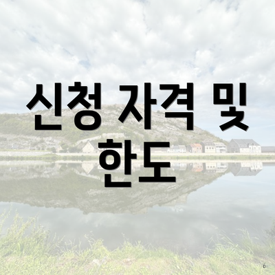신청 자격 및 한도