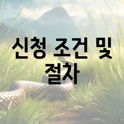 신청 조건 및 절차