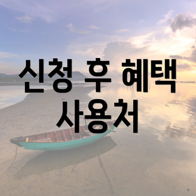 신청 후 혜택 사용처