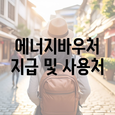 에너지바우처 지급 및 사용처