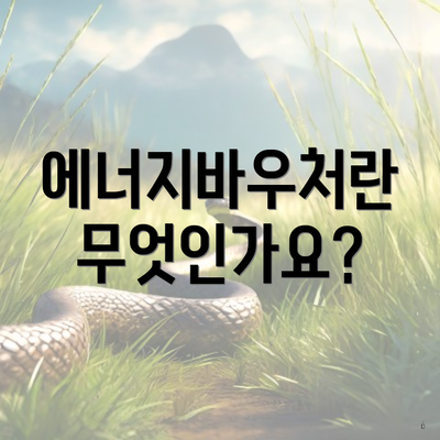 에너지바우처란 무엇인가요?