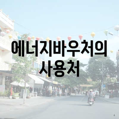 에너지바우처의 사용처