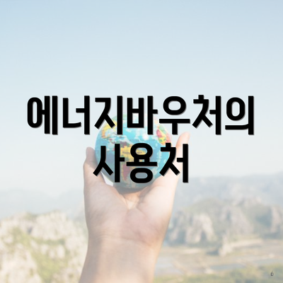 에너지바우처의 사용처