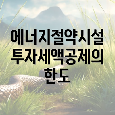 에너지절약시설 투자세액공제의 한도