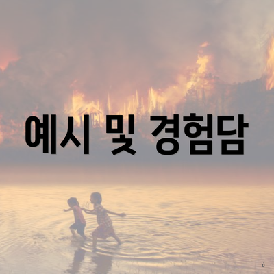 예시 및 경험담