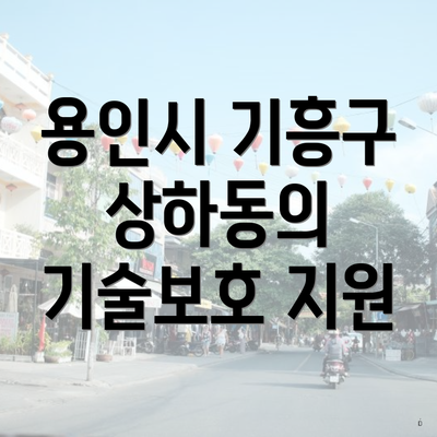 용인시 기흥구 상하동의 기술보호 지원