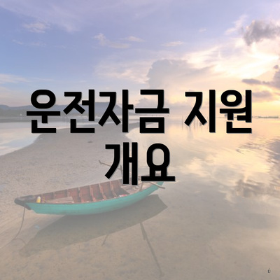 운전자금 지원 개요