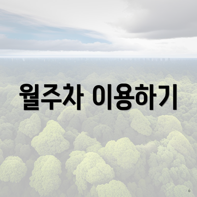 월주차 이용하기