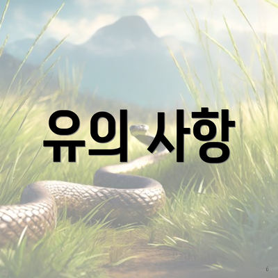 유의 사항