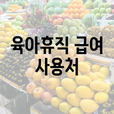 육아휴직 급여 사용처
