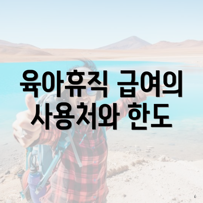 육아휴직 급여의 사용처와 한도