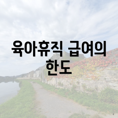육아휴직 급여의 한도