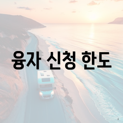 융자 신청 한도