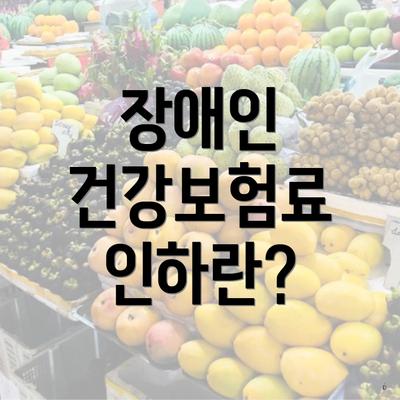 장애인 건강보험료 인하란?