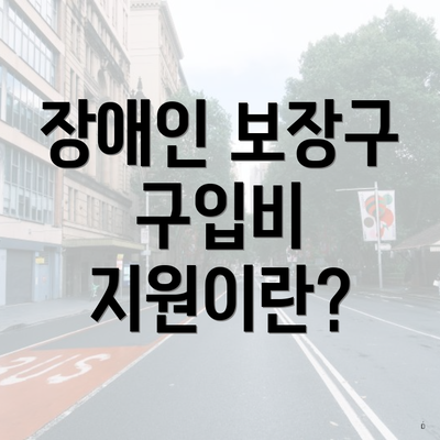 장애인 보장구 구입비 지원이란?