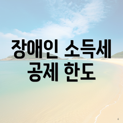 장애인 소득세 공제 한도