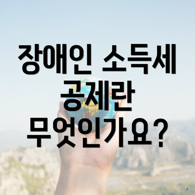 장애인 소득세 공제란 무엇인가요?