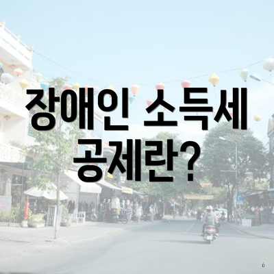 장애인 소득세 공제란?