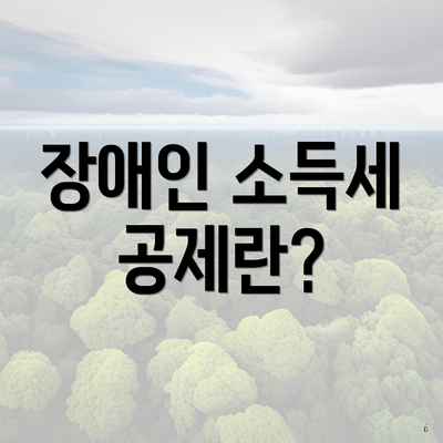장애인 소득세 공제란?