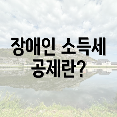 장애인 소득세 공제란?