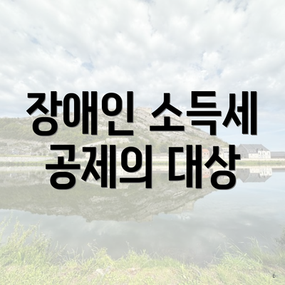 장애인 소득세 공제의 대상