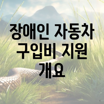 장애인 자동차 구입비 지원 개요