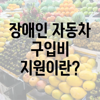 장애인 자동차 구입비 지원이란?