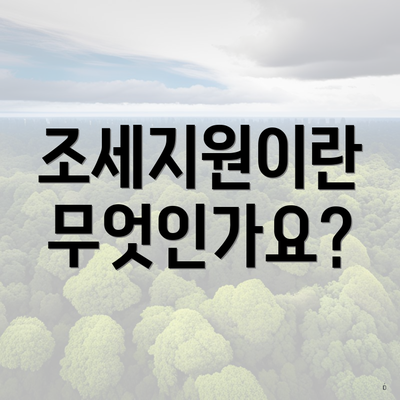 조세지원이란 무엇인가요?