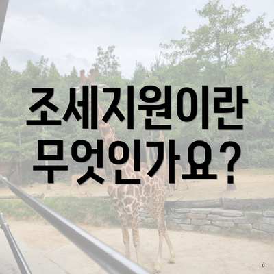 조세지원이란 무엇인가요?