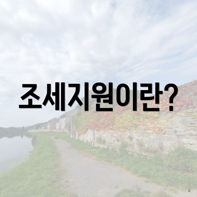 조세지원이란?