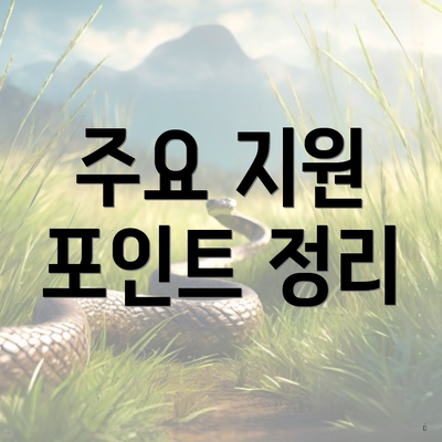 주요 지원 포인트 정리