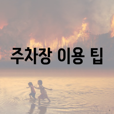 주차장 이용 팁