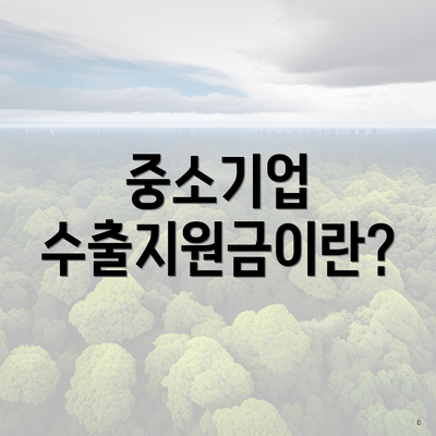 중소기업 수출지원금이란?