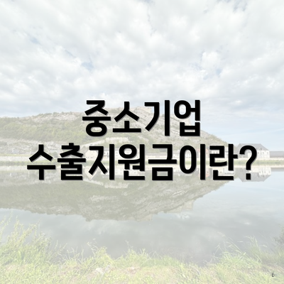 중소기업 수출지원금이란?