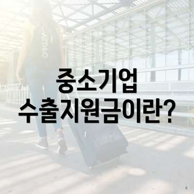 중소기업 수출지원금이란?