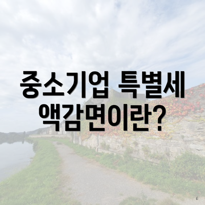 중소기업 특별세액감면이란?