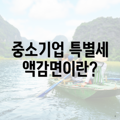중소기업 특별세액감면이란?