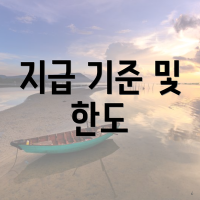 지급 기준 및 한도