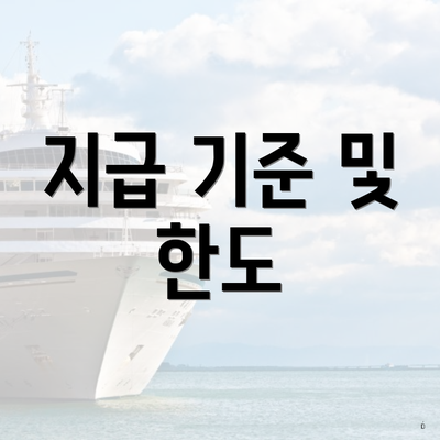 지급 기준 및 한도