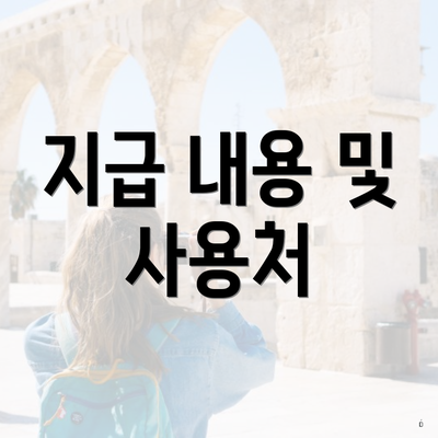 지급 내용 및 사용처