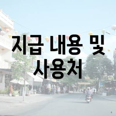 지급 내용 및 사용처