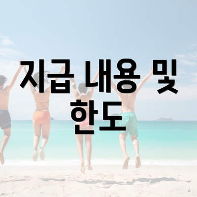 지급 내용 및 한도