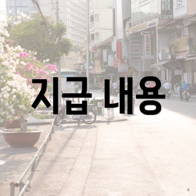 지급 내용